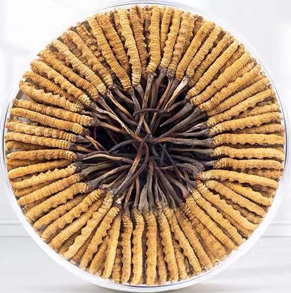 前海街道冬虫夏草回收